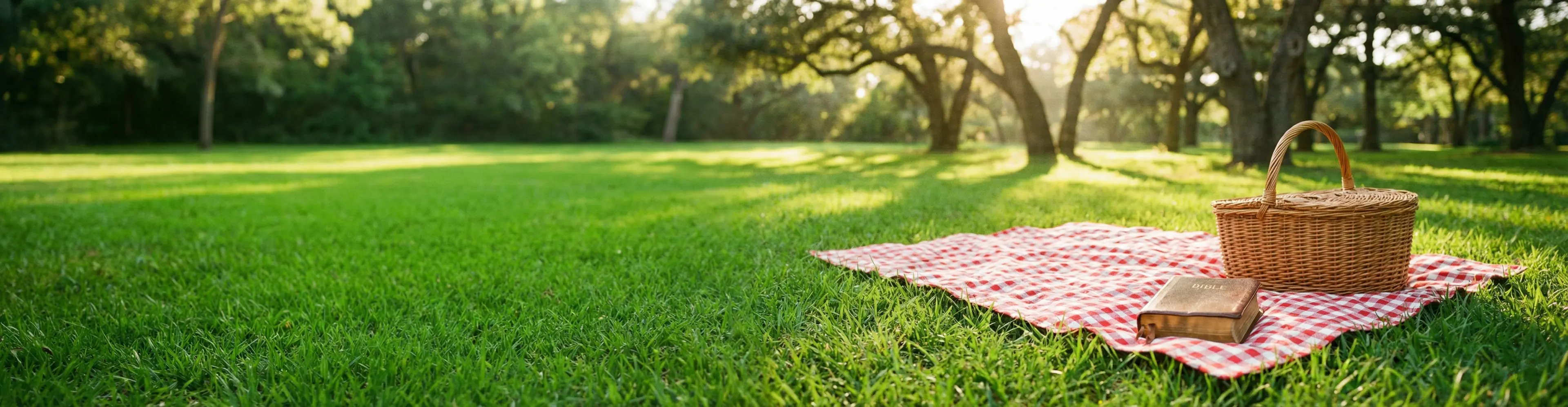 이벤트 페이지 배경