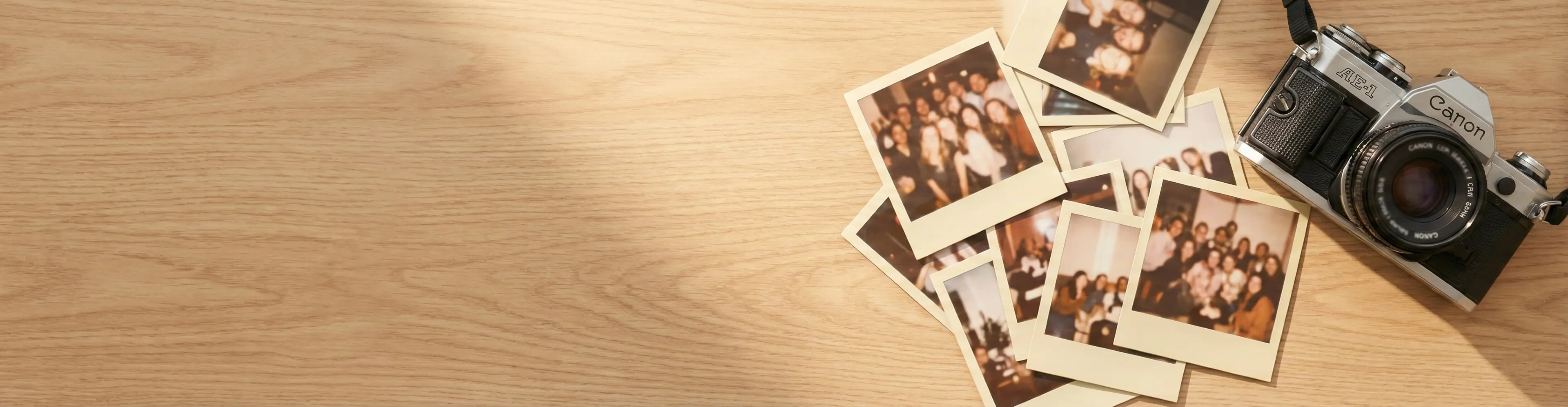 갤러리 페이지 배경