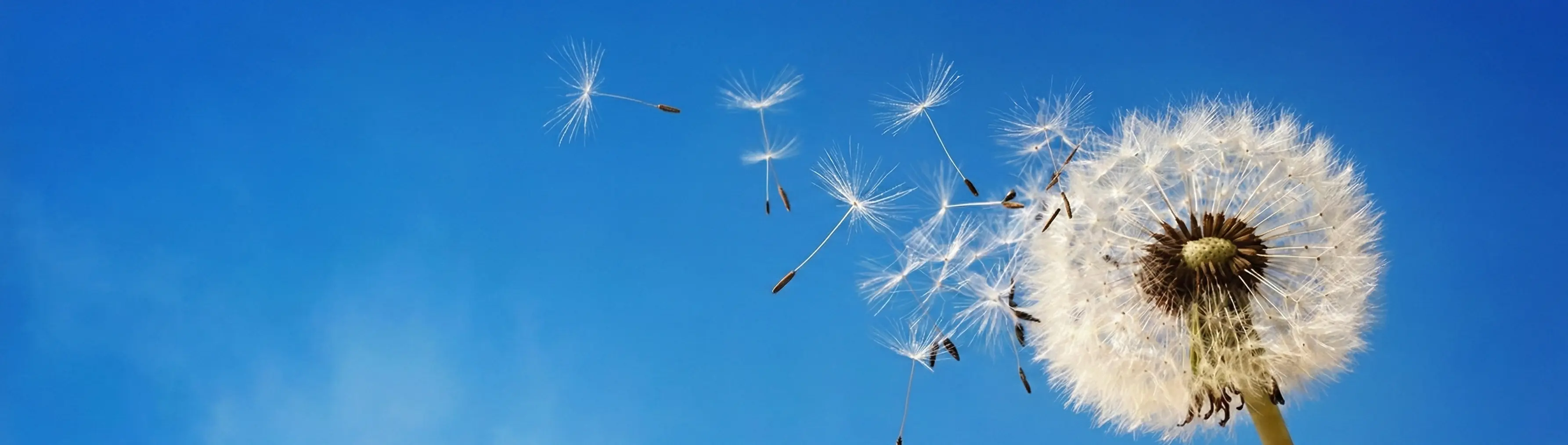 섬기는 사람들 페이지 배경